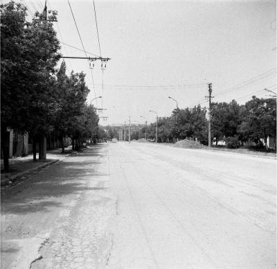 Прикрепленное изображение: (1Лермонтова ул на с-з от Феод. шоссе) 1b8 Юрчишко.jpg